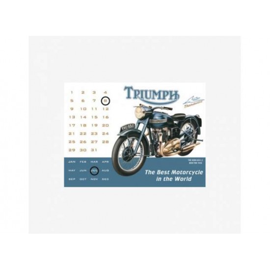 Tac Signs - Plăcuță metalică decorativă [30x40cm] - Thunderbird Calender